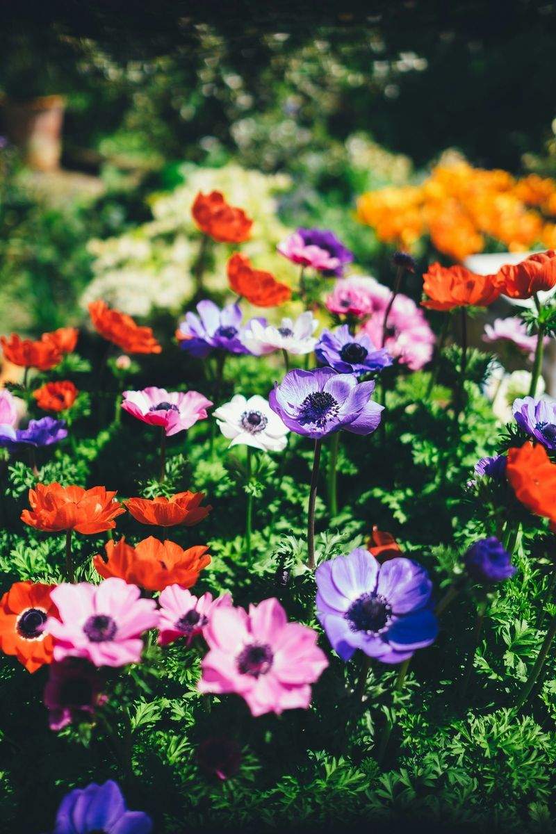 Seasonal Bed Refresh and Pollinator-Friendly Planting Workflow